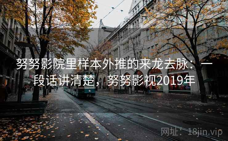 努努影院里样本外推的来龙去脉：一段话讲清楚，努努影视2019年
