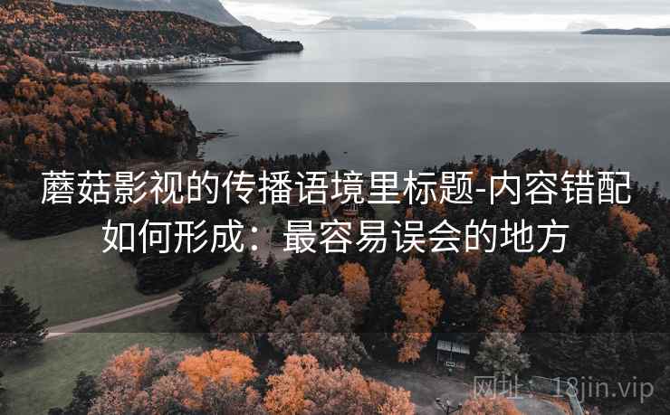 蘑菇影视的传播语境里标题-内容错配如何形成：最容易误会的地方