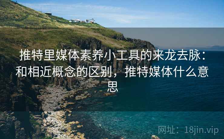 推特里媒体素养小工具的来龙去脉:和相近概念的区别,推特媒体什么意思 推特里媒体素养小工具的来龙去脉:和相近概念的区别,推特媒体什么意思