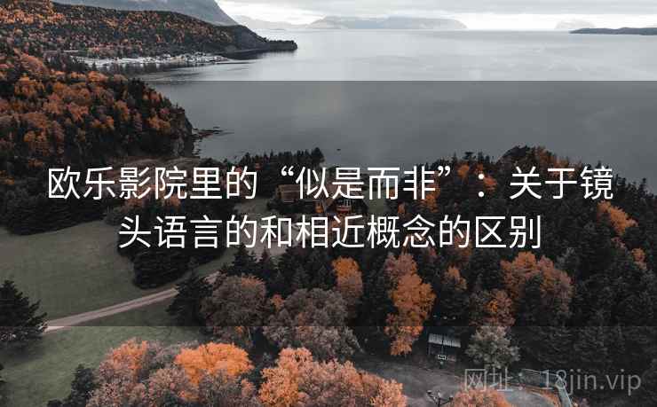 欧乐影院里的“似是而非”：关于镜头语言的和相近概念的区别