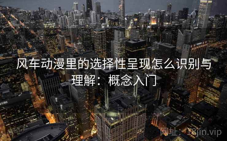 风车动漫里的选择性呈现怎么识别与理解：概念入门